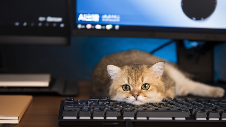 猫怎么成了大模型“天敌”?